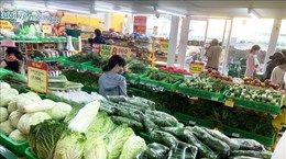 Llevan productos vietnamitas con estándares de exportación a canales minoristas internos