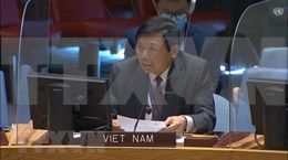 Vietnam eleva nivel de diplomacia multilateral en la ONU