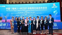 Vietnam participa en Conferencia de Medicina Tradicional ASEAN-China 2023