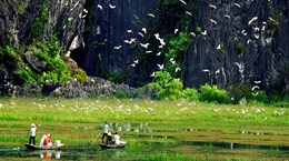 Vietnam desarrolla ecoturismo asociado a la conservación de biodiversidad