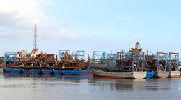Provincia vietnamita de Nam Dinh intensifica lucha contra pesca ilegal