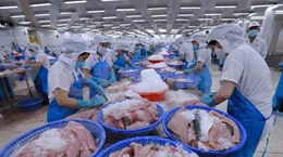 Vietnam por llevar al sector pesquero a desarrollo sostenible e integración