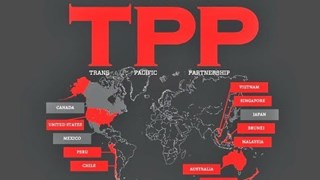 TPP establece nuevos estándares para una zona dinámica, dicen países firmantes