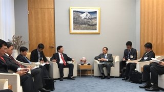 Vietnam y Japón acuerdan intensificar la confianza política 