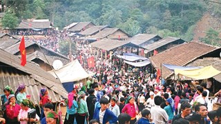 Feria de mercado destaca cultura de zona montañosa de región norvietnamita
