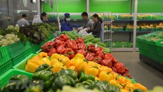 China gasta casi mil millones de dólares en frutas y verduras vietnamitas