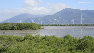 Inversiones en crecimiento verde en Vietnam alcanzan 9 mil millones de dólares 