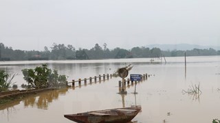 Pobladores en provincia centrovietnamita continúan combate contra las inundaciones 
