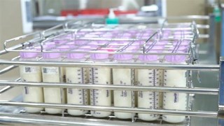 Operan mayor banco de leche materna de Vietnam 
