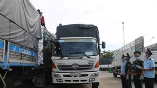 Provincia vietnamita registra exportaciones multimillonarias por puertas fronterizas