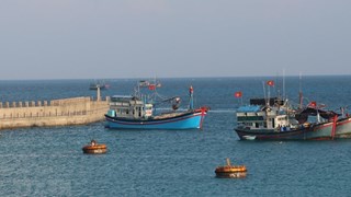 Crean condiciones favorables para reanudación de actividades pesqueras en Vietnam