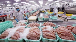 Exportación de productos acuáticos de Vietnam registra señales positivas