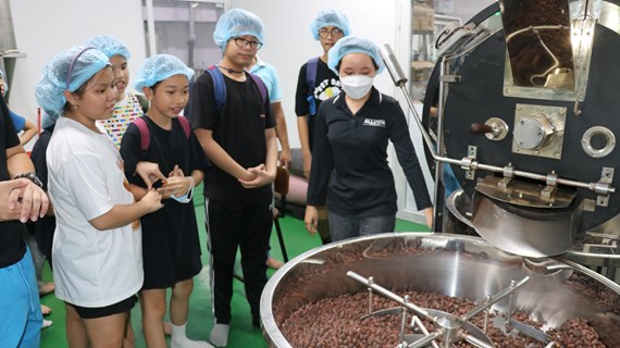Sabor del auténtico chocolate vietnamita atrae a visitantes a la región del suroeste