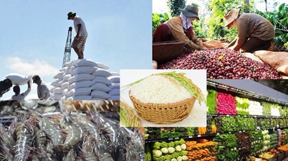 Productos agrícolas vietnamitas aumentan su presencia en mercado surcoreano