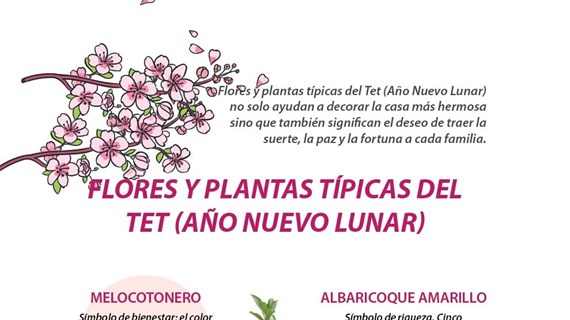 Flores y plantas típicas del Tet (Año Nuevo Lunar)
