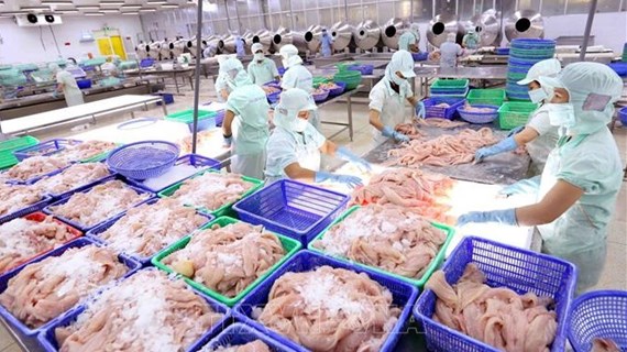 Exportaciones de mariscos de Vietnam en segundo trimestre pueden lograr récord de tres mil millones de dólares 