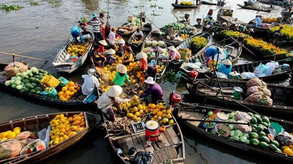 Desarrollo y prosperidad del Delta de Mekong mejoran calidad de vida