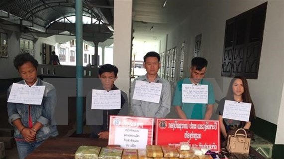 Provincias vietnamita y laosiana neutralizan red de narcotráfico transfronterizo