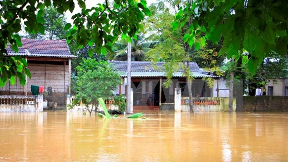 Agencia de la ONU recauda fondos para vietnamitas afectados por inundaciones
