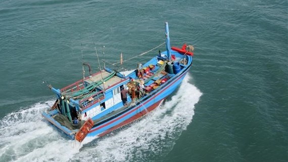 Provincia vietnamita de Ben Tre por erradicar la pesca ilegal en aguas extranjeras