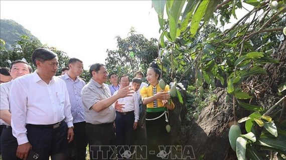 Premier de Vietnam inspecciona obras infraestructurales clave provinciales