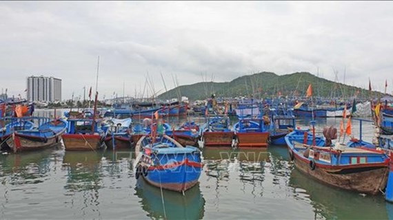 Vietnam acelera los movimientos para combatir la pesca ilegal