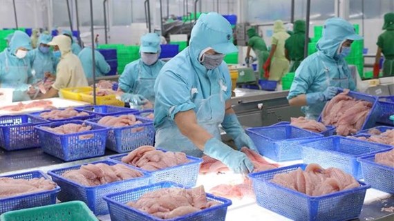 Exportaciones acuáticas vietnamitas crecen 38 por ciento en nueve meses