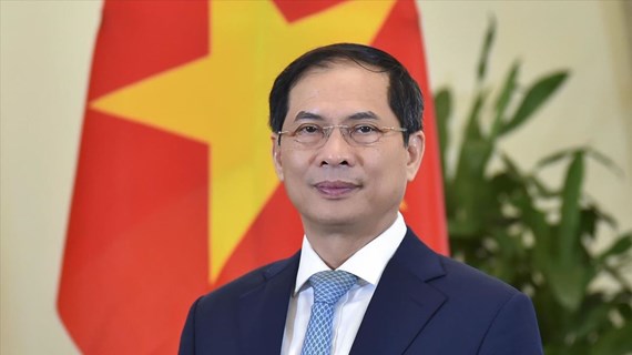 Vietnam reitera compromiso con operaciones de mantenimiento de la paz de ONU