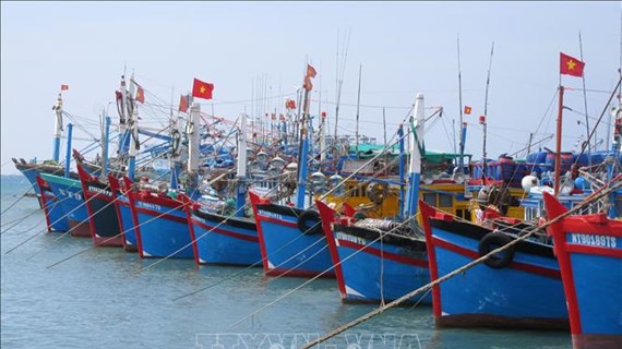 Provincia vietnamita proyecta desarrollo sostenible de sector pesquero