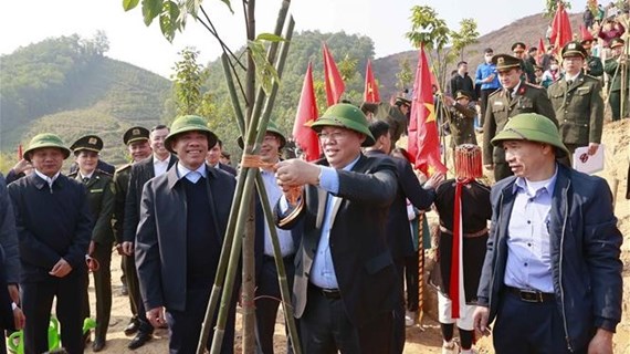 Lanzan Festivales de Emulación y de Plantación de Árboles en Tuyen Quang