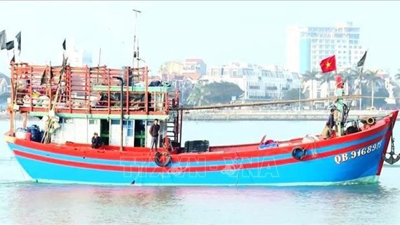Provincia vietnamita de Quang Binh se esfuerza por luchar contra la pesca ilegal