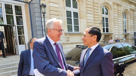 Vietnam concede al desarrollo de nexos de cooperación con Francia, afirma canciller 
