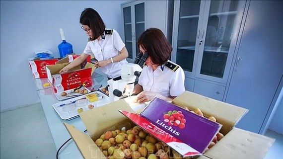 Vietnam por establecer centro de irradiación de frutas para exportación en el Norte