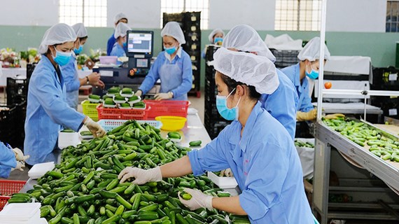 Vietnam necesita impulsar transformación verde para exportación sostenible