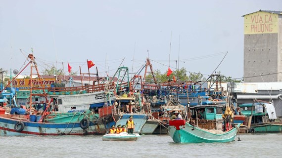 Gobierno de Vietnam adopta programa de acción contra IUU