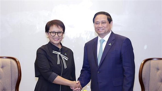 Premier vietnamita recibe a canciller indonesia