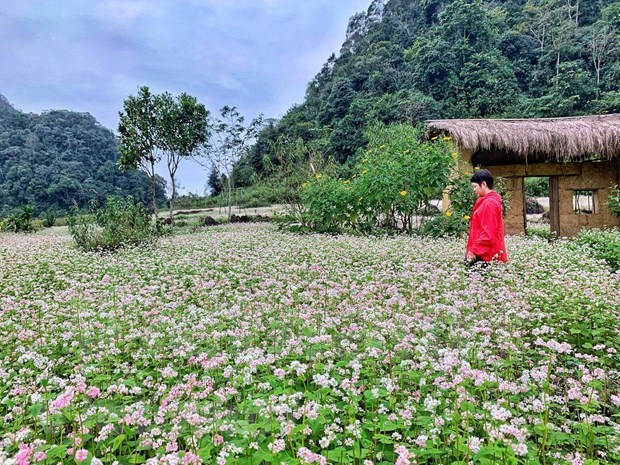 Vietnamitas optan por el turismo sostenible despues del COVID-19 hinh anh 6