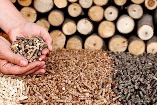 Exportaciones vietnamitas de productos de desecho forestal podrian recaudar fondo multimillonario hinh anh 1
