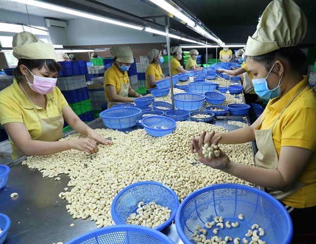 Exportaciones de Vietnam superan 250 mil millones de dolares hinh anh 1