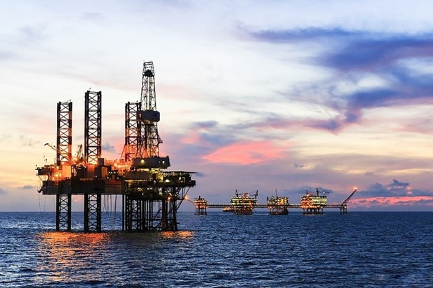 Industria de petroleo y gas de Vietnam enfrenta una oportunidad de transformacion hinh anh 1