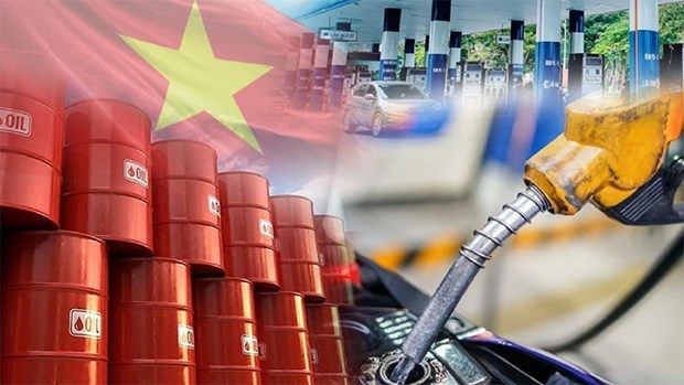Industria de petroleo y gas de Vietnam enfrenta una oportunidad de transformacion hinh anh 2