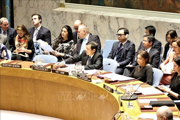 Vietnam y Consejo de Seguridad: de participante a socio para la paz sostenible hinh anh 5
