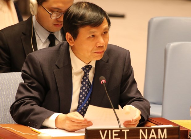 Vietnam en el Consejo de Seguridad de la ONU: nuevo hito de la diplomacia nacional hinh anh 7