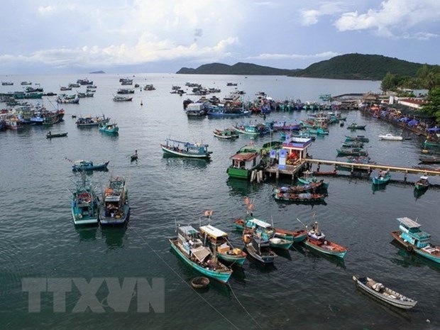 Publican por primera vez estudio sobre el medioambiente marino e insular de Vietnam hinh anh 1