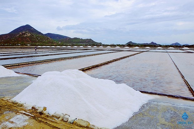 Contemplan magnifica belleza de los campos de sal en Ninh Thuan hinh anh 3