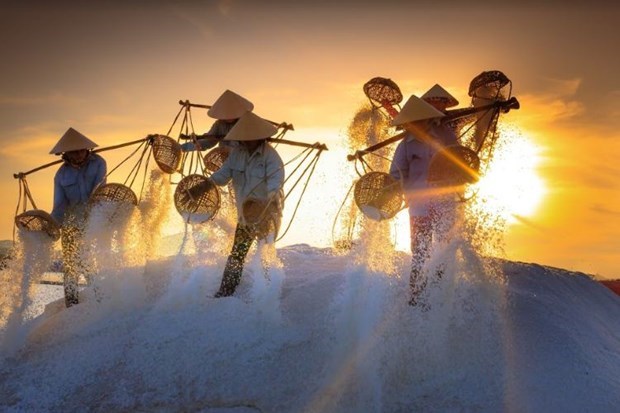 Contemplan magnifica belleza de los campos de sal en Ninh Thuan hinh anh 1