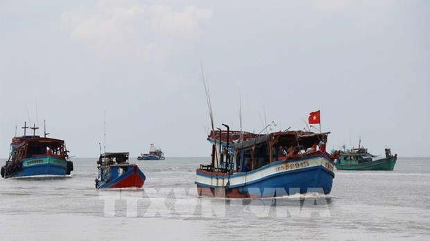 Comunidad pesquera vietnamita se esmera en combatir la pesca ilegal hinh anh 1