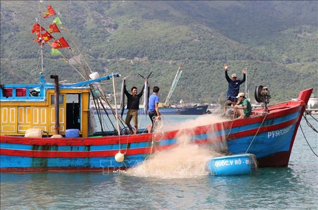 Comunidad pesquera vietnamita se esmera en combatir la pesca ilegal hinh anh 2
