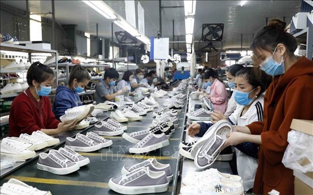 Empresas vietnamitas se preparan para adecuarse a estrategia de textiles sostenibles de la UE hinh anh 1