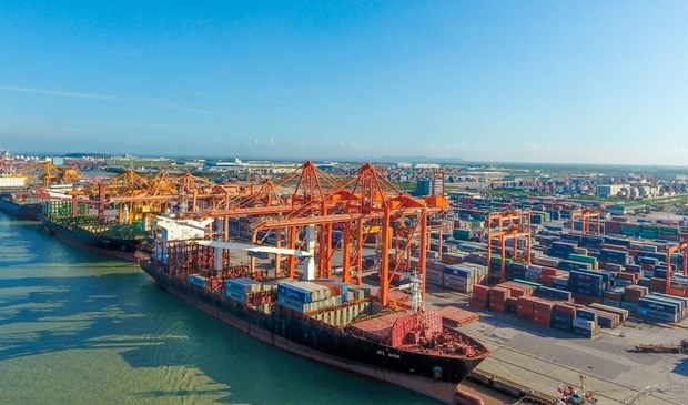 Vietnam busca desarrollar flota de transporte maritimo internacional hinh anh 1